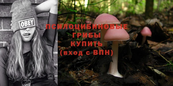 стафф Алексеевка