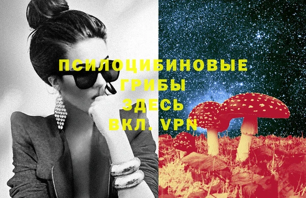 ПСИЛОЦИБИНОВЫЕ ГРИБЫ Алзамай