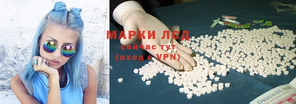 ПСИЛОЦИБИНОВЫЕ ГРИБЫ Алзамай
