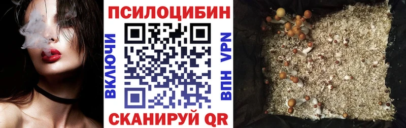 hydra рабочий сайт  Межгорье  Галлюциногенные грибы GOLDEN TEACHER  где найти наркотики 